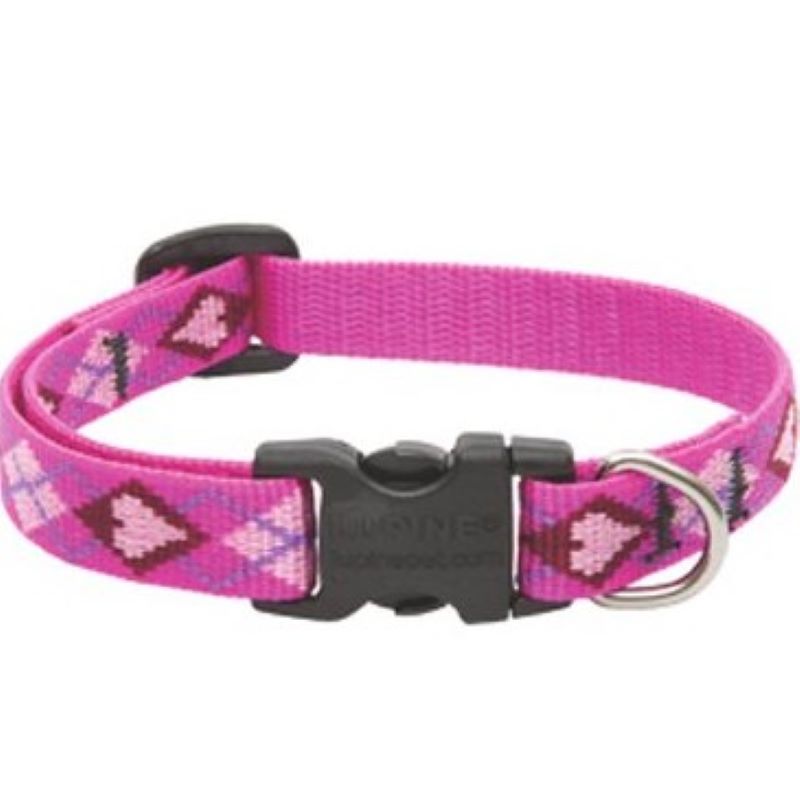 1/2" Puppy Love 10"-16" Collar