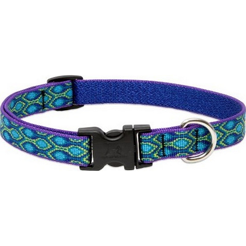 3/4" Rain Song 9"-14" Collar