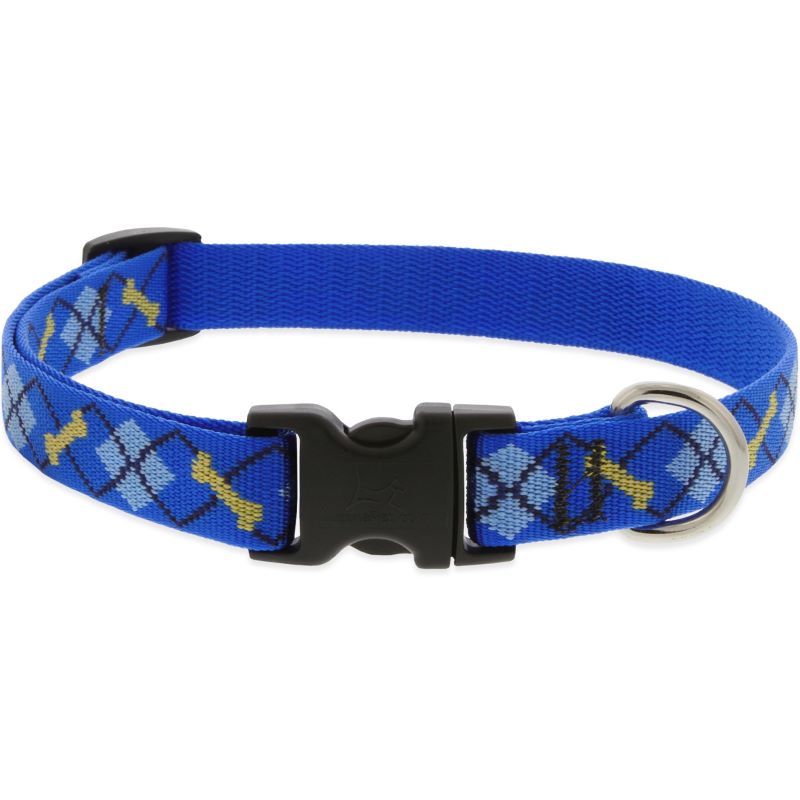 3/4" Dapper Dog 9"-14" Collar