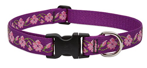 1" Rose Garden 12"-20" Collar