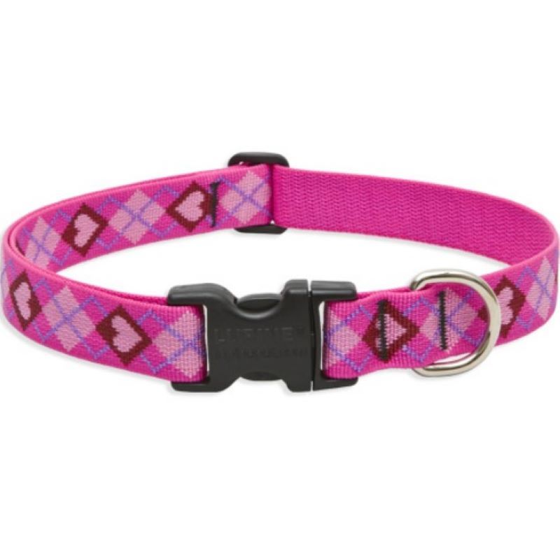 1" Puppy Love 12"-20" Collar