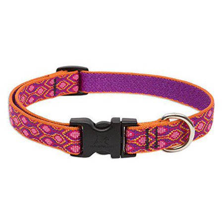 3/4" Alpen Glow 13"-22" Collar