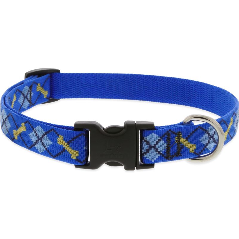 3/4" Dapper Dog 13"-22" Collar