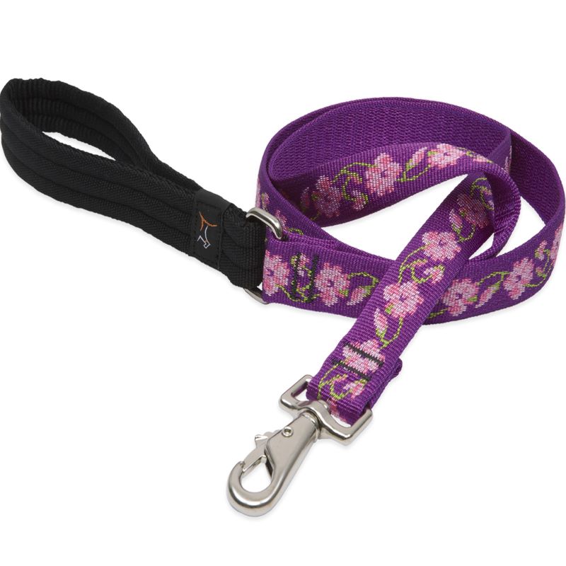 1" Rose Garden 6' Leash