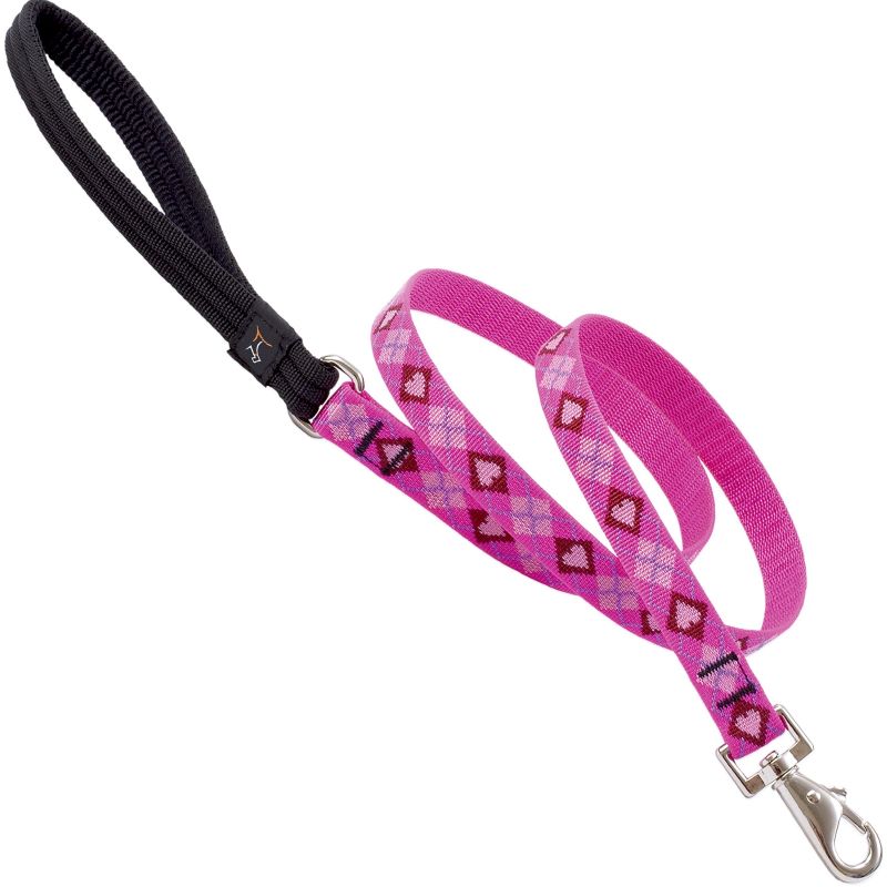 3/4" Puppy Love 6' Leash