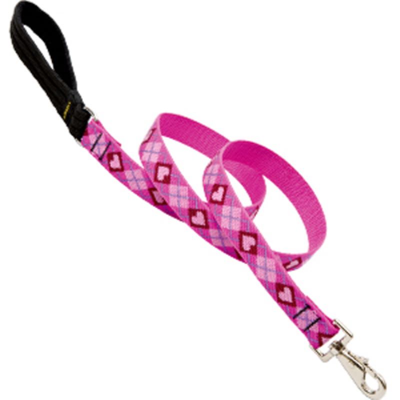 1" Puppy Love 6' Leash