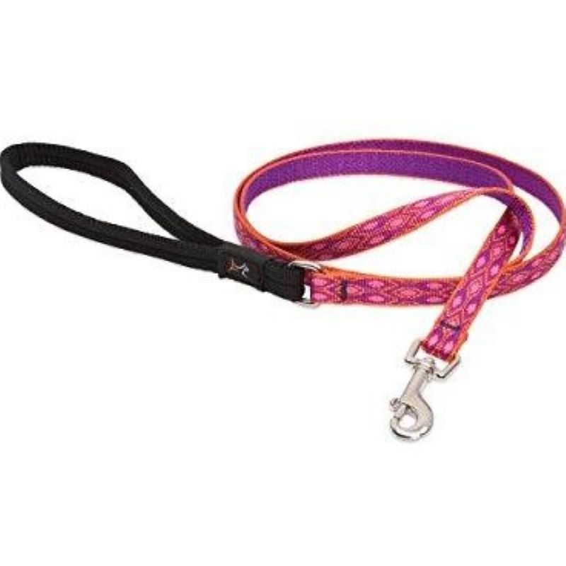 1/2" Alpen Glow 6' Leash