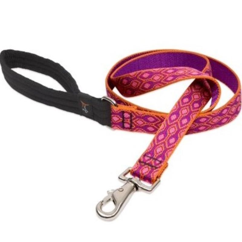 1" Alpen Glow 6' Leash