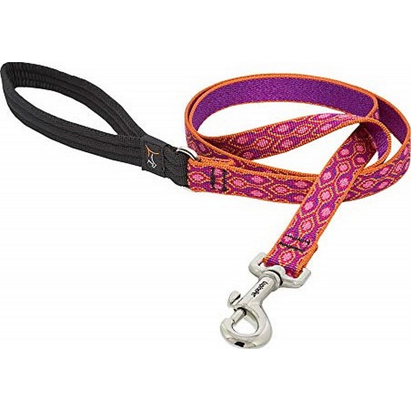 3/4" Alpen Glow 6' Leash