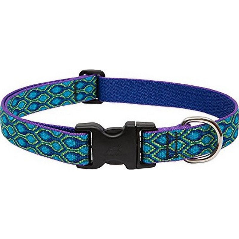 1" Rain Song 16"-28" Collar