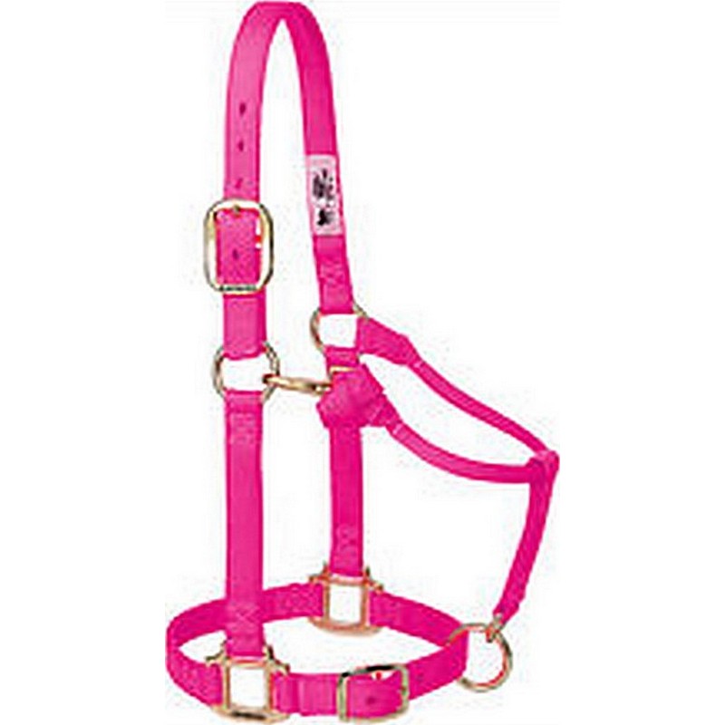 Econo Halter Pony Hot Pink 1-20Q