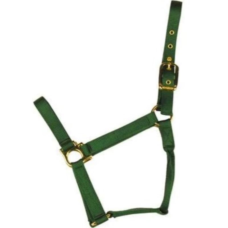 Econo Halter Yearling Green 3-50Q