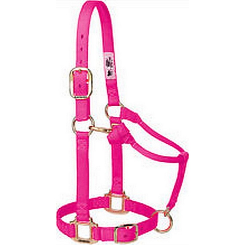 Econo Halter Yearling Hot Pink 3-50Q