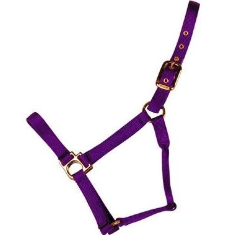 Econo Halter Yearling Purple 3-50Q