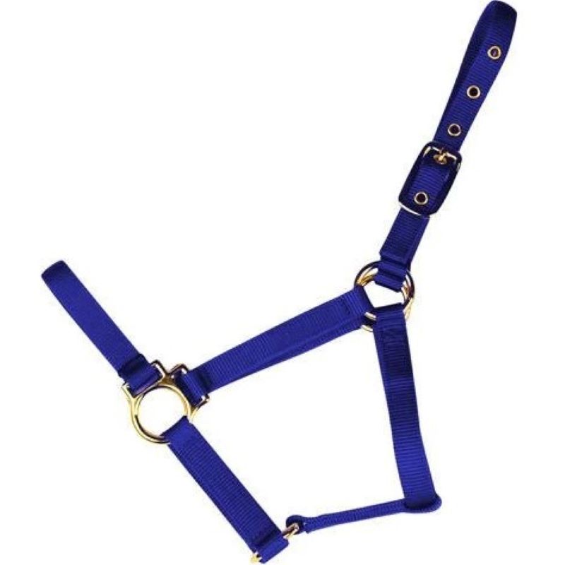 Econo Halter Adult Blue 8-11Q