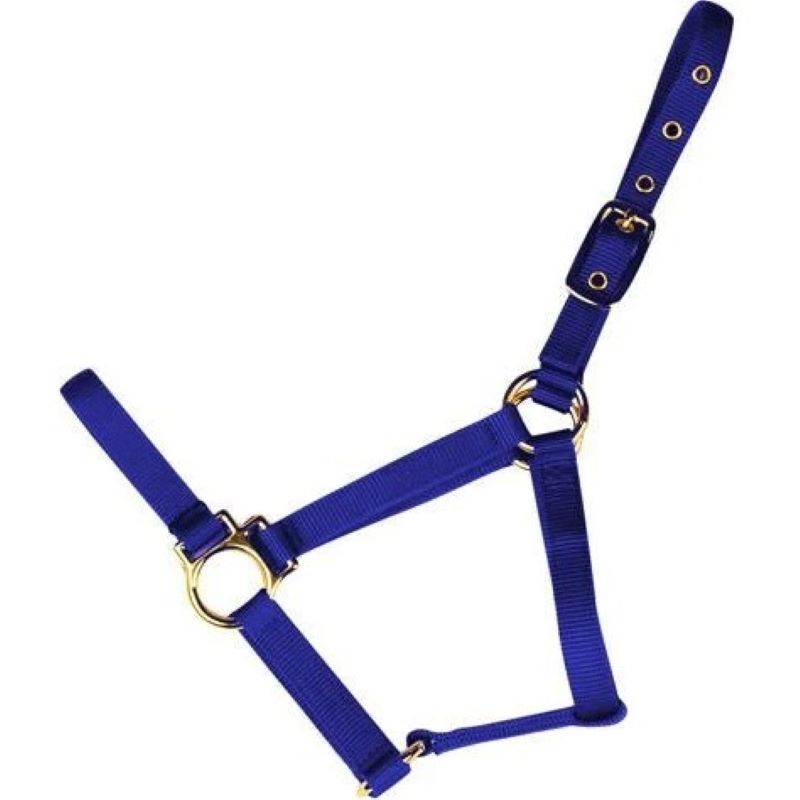 Econo Halter Large Blue 11-15Q