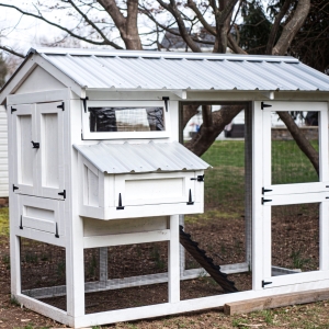 Chicken Coops