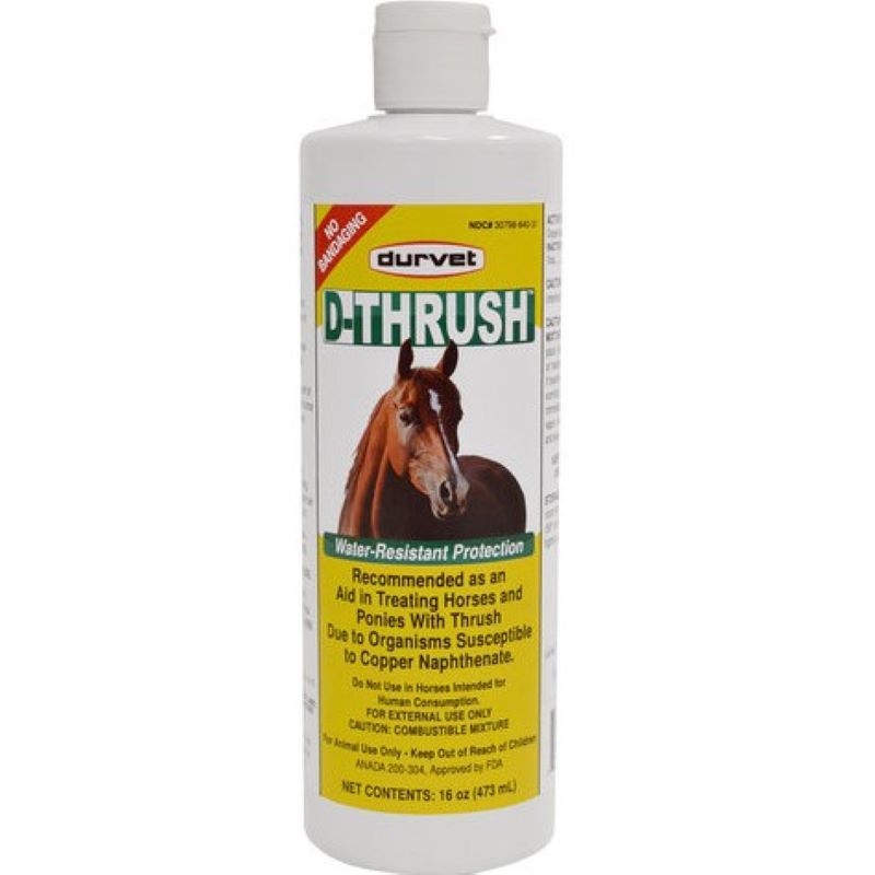 D-Thrush Horse Liquid 16 oz