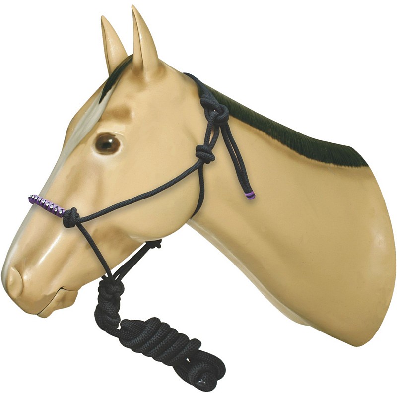 Rope Halter with Stud Noseband/Lead