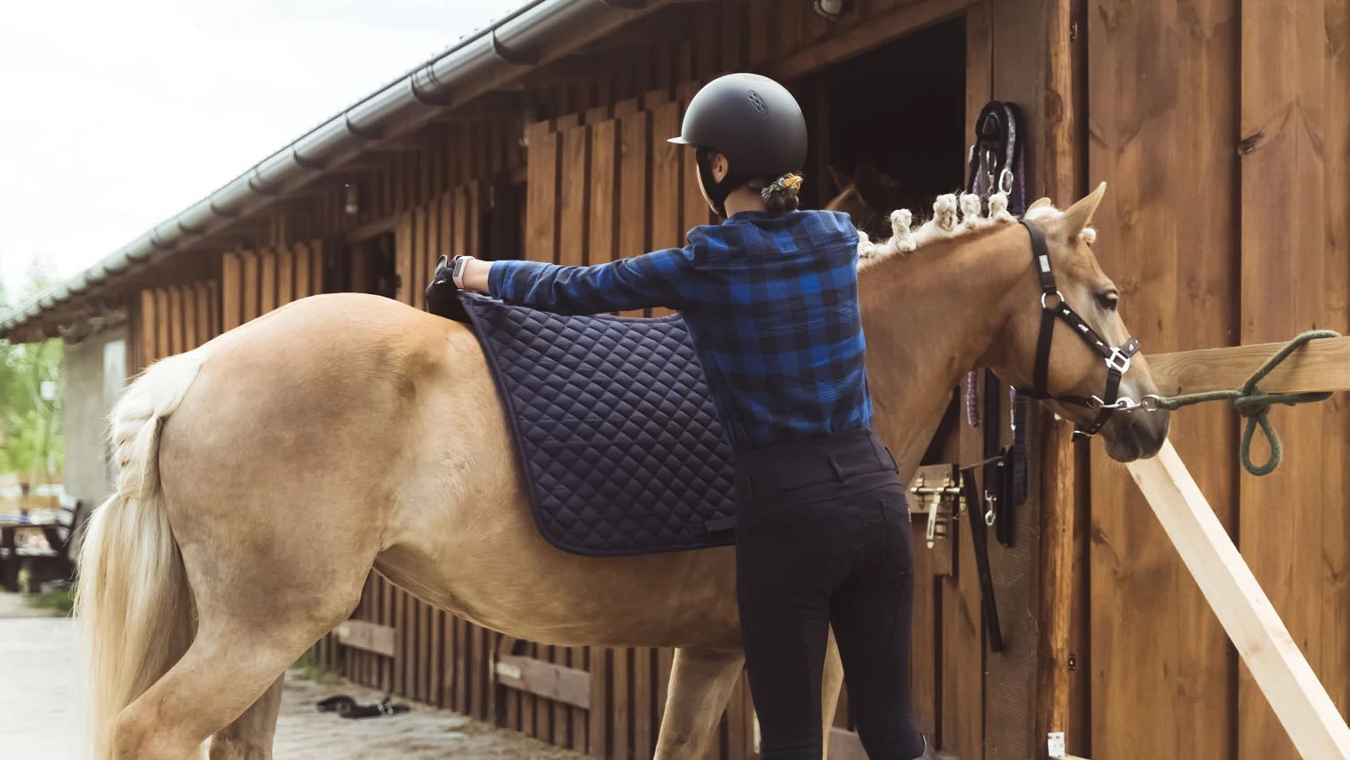 Saddle Blankets